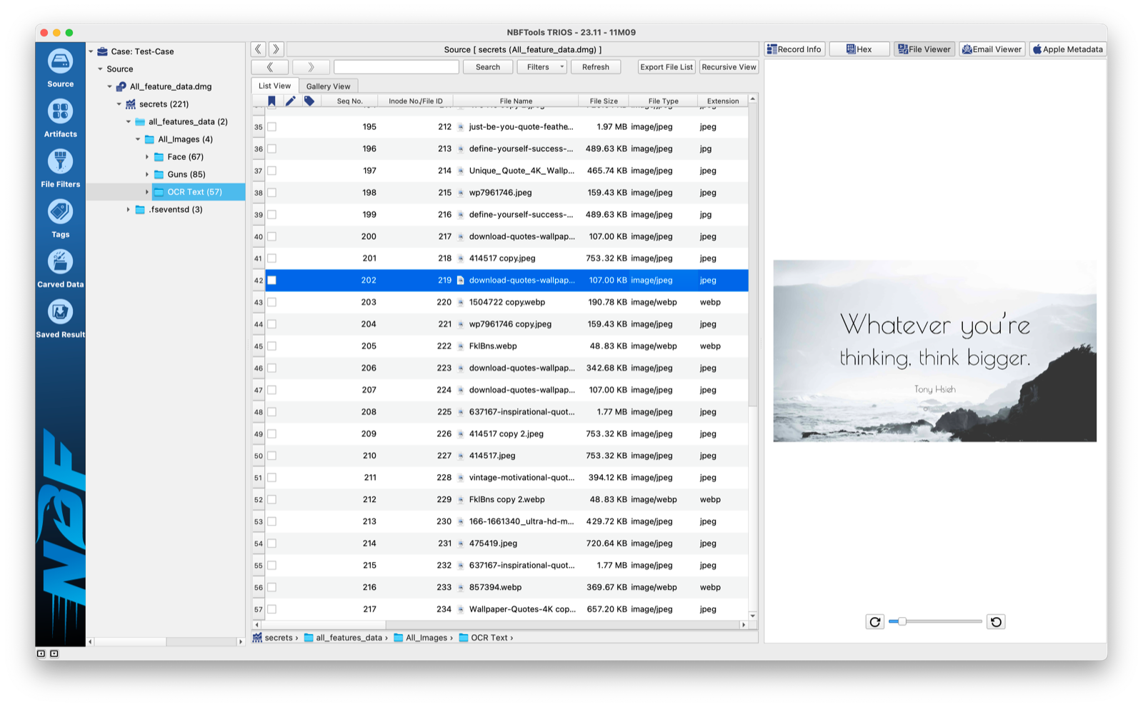 Case explorer and file viewer